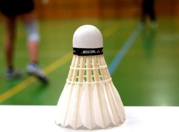 badminton-783601_640