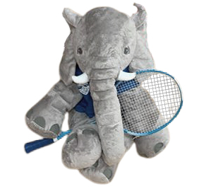 Mascotte ASM PAU Badminton